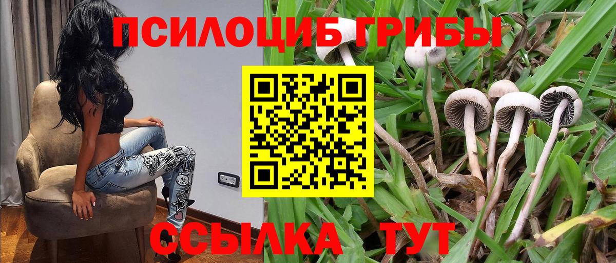 Псилоцибиновые грибы MAGIC MUSHROOMS  Вход с VPN  Галлюциногенные грибы Cubensis  Краснокаменск 