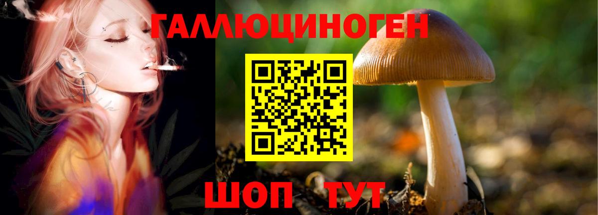 Псилоцибиновые грибы MAGIC MUSHROOMS Краснокаменск